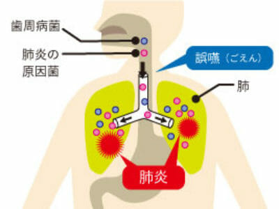 02shisyu_sec06 02shisyu_sec06